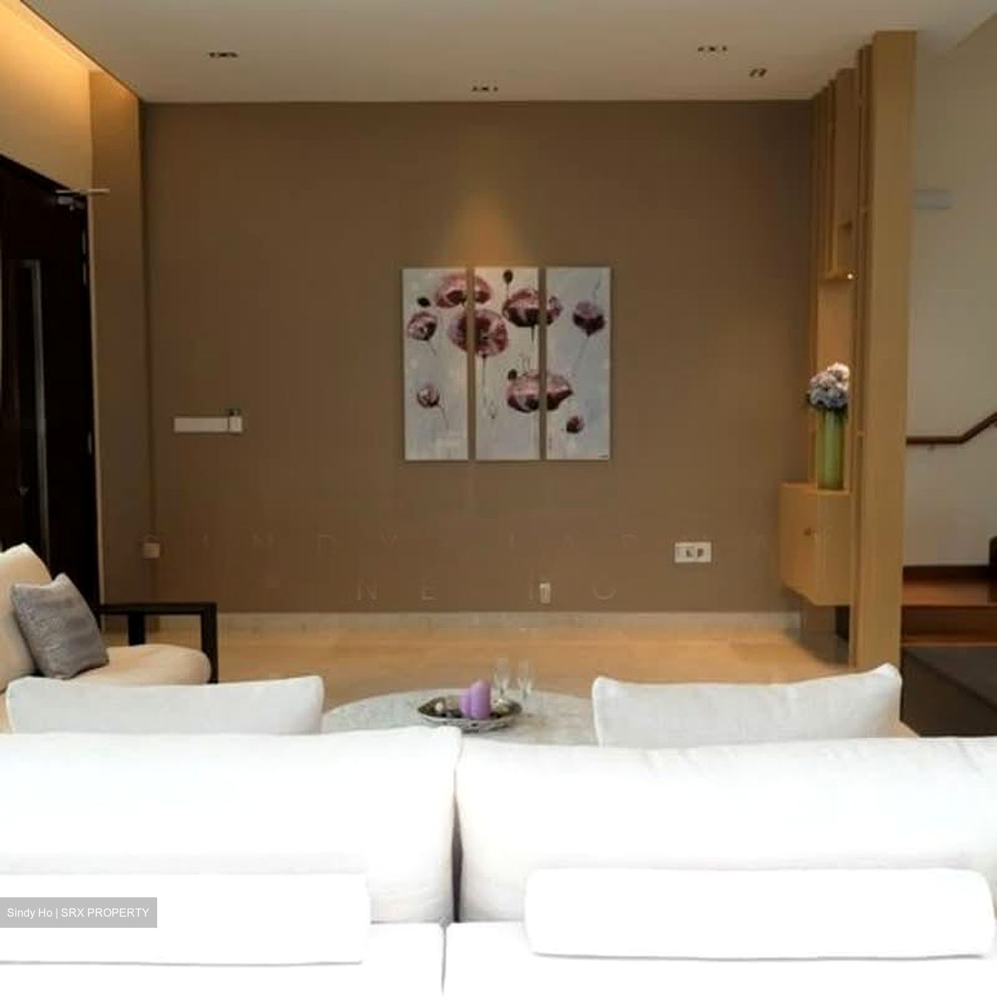 Toh Estate (D17), Semi-Detached #540897051
